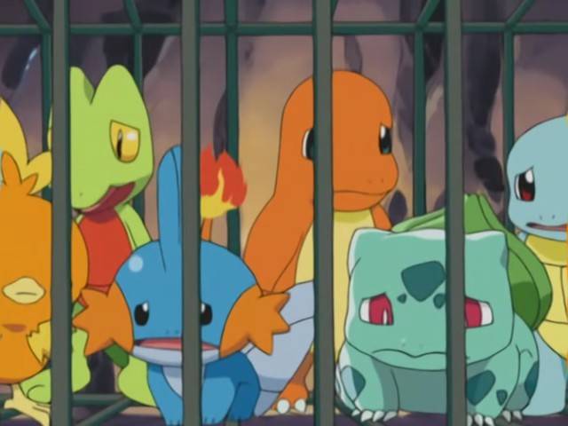Capitulo 31 Temporada 7: Ataque En Paquete De Seis